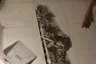 饶平卫生间漏水检测电话